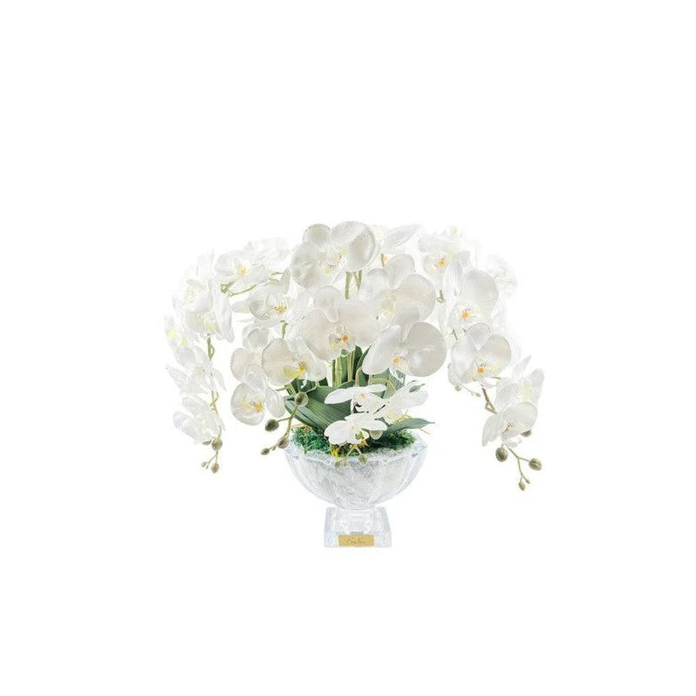 Cote Noire Centre Piece Tall White Orchids CP001-Candles2go