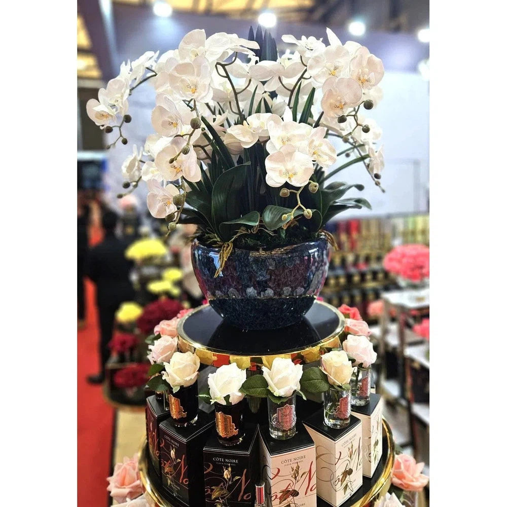 Cote Noire Luxury Giant Ceramic Vase White Orchids GO01-Candles2go