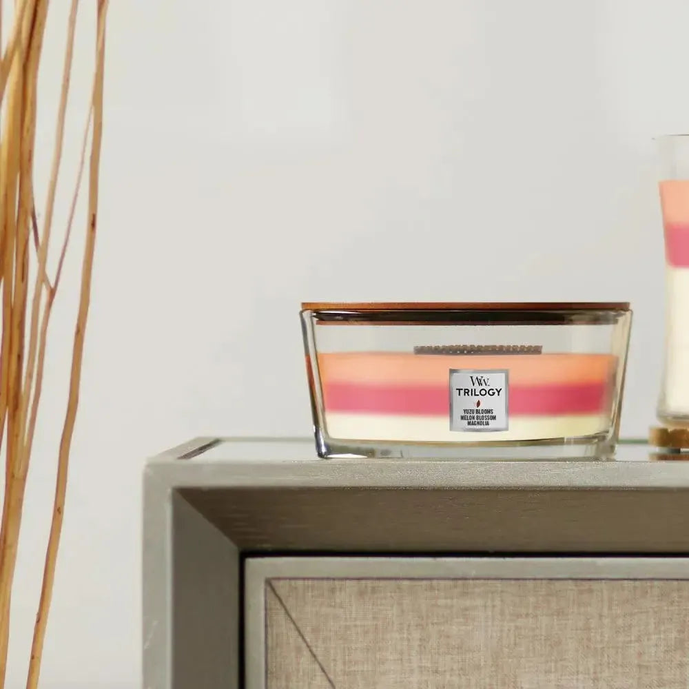 Ellipse Blooming Orchid 453g Candle by Woodwick Candles-Candles2go