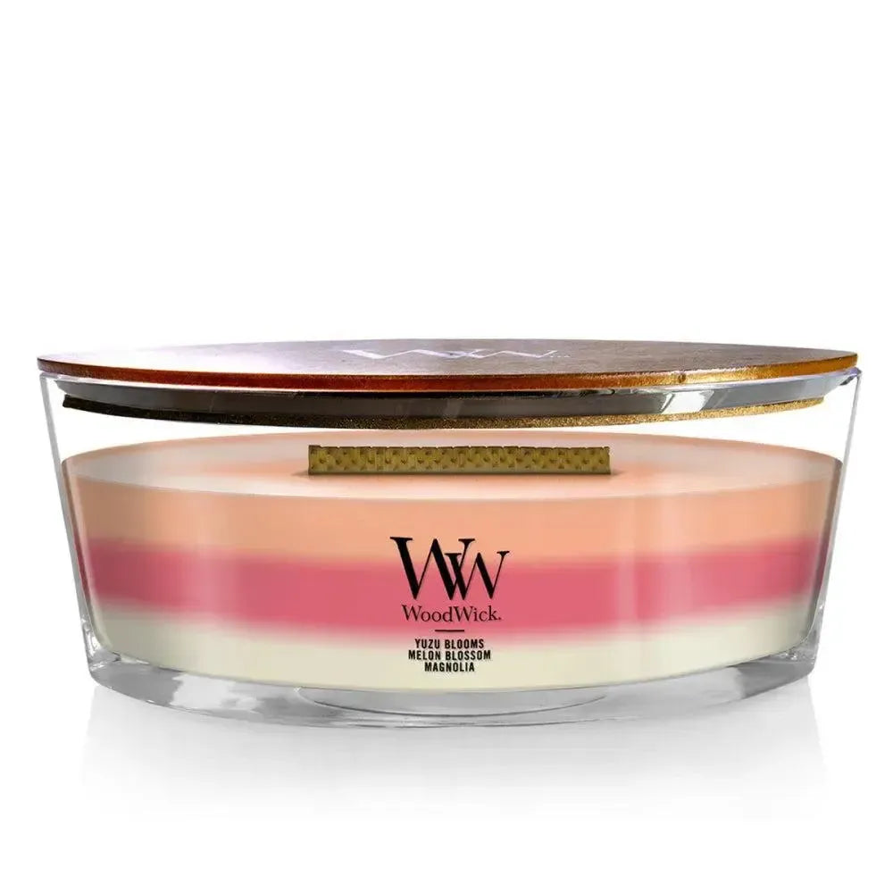 Ellipse Blooming Orchid 453g Candle by Woodwick Candles-Candles2go