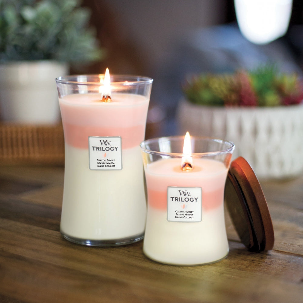 Illuminate Your World: Top 5 Considerations When Buying Candles-Candles2go