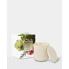 Christmas Limited Edition Circa White Fig & Cedar 300g Candle 2025