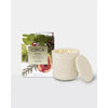 Christmas Limited Edition Circa White Fig & Cedar 300g Candle 2025