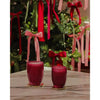 Christmas Limited Edition Peppermint Grove Champagne & Red Raspberries 370g Candle 2025