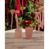 Christmas Limited Edition Peppermint Grove Passion Berry Pavlova 370g Candle 2025