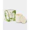 Circa Alchemy White Tea & Wild Mint 300g Candle