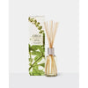 Circa Alchemy White Tea & Wild Mint Diffuser 250ml