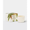 Circa Mango & Papaya 70g Mini Candle
