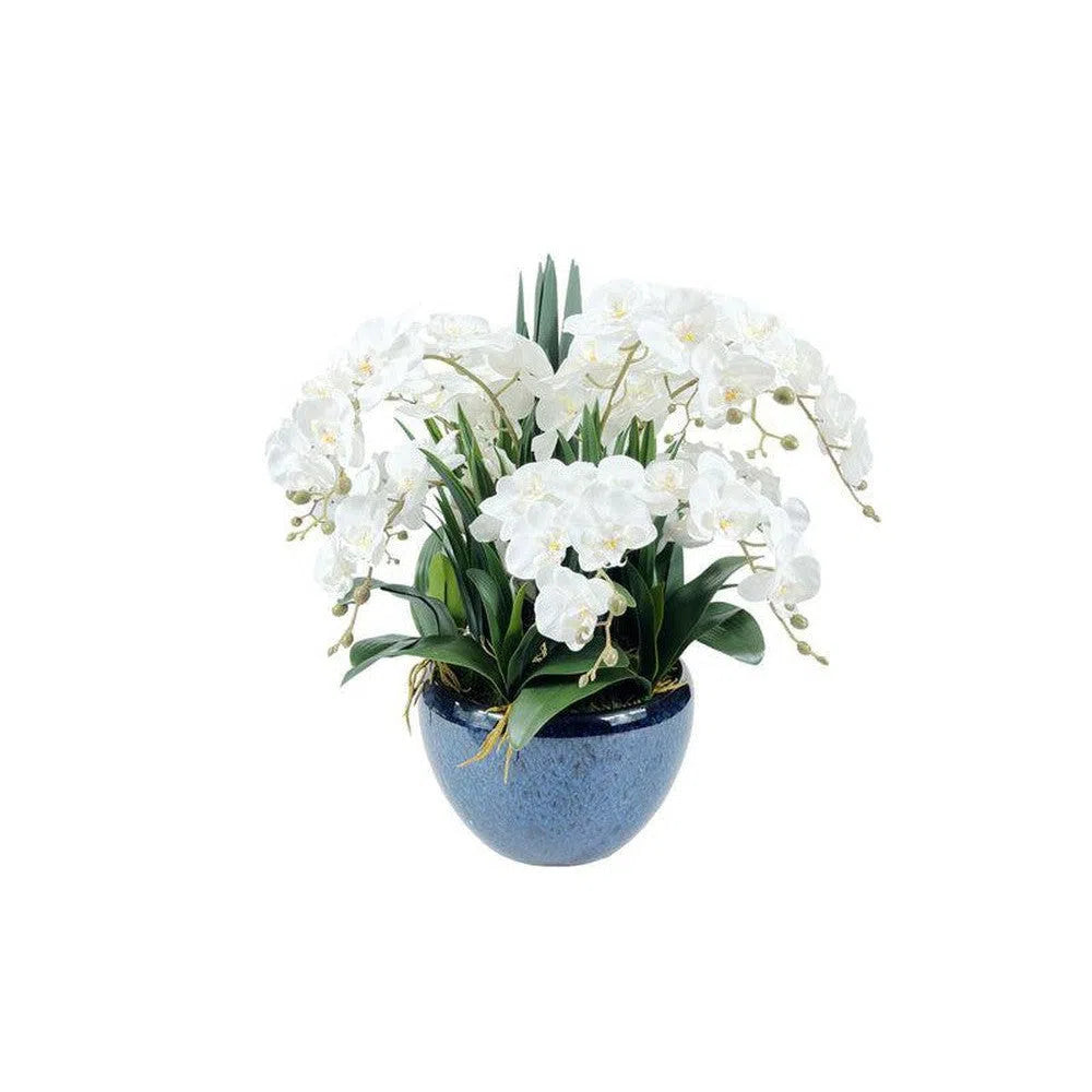 Cote Noire Luxury Giant Ceramic Vase White Orchids GO01-Candles2go