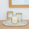 Elderflower Verbena Boxed Candle 255g The Soi Co by Splosh