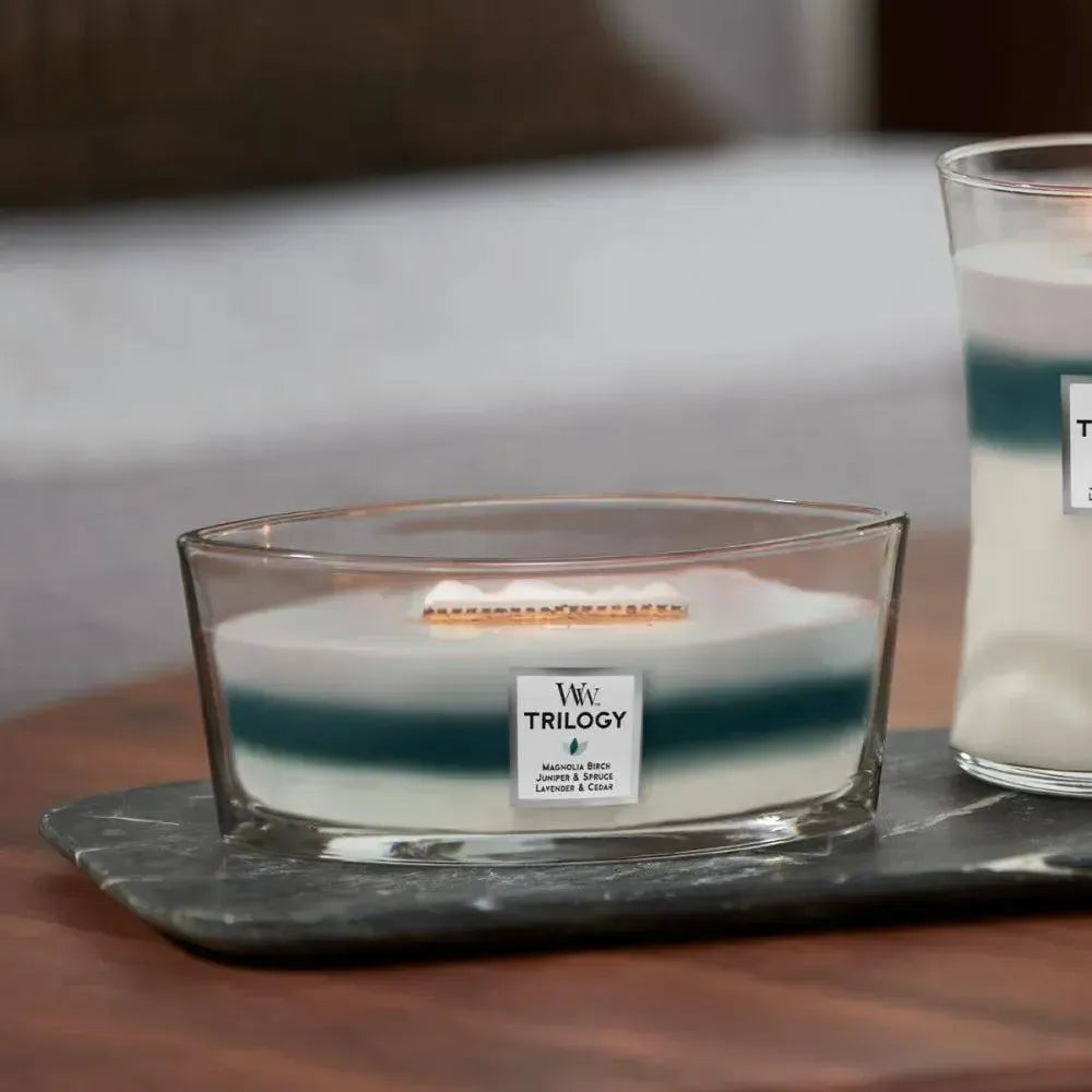 Ellipse Icy Woodland 453g Candle by Woodwick Candles-Candles2go
