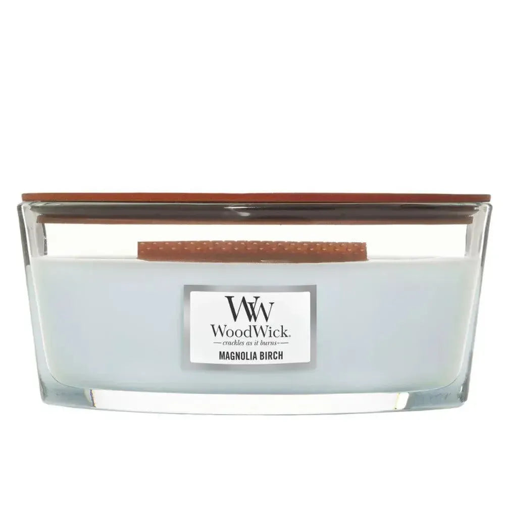 Ellipse Magnolia Birch 453g Candle by Woodwick Candles-Candles2go