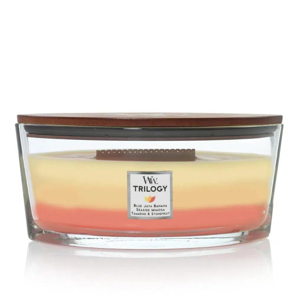 Ellipse Tropical Sunrise Trilogy 453g Woodwick Candles-Candles2go