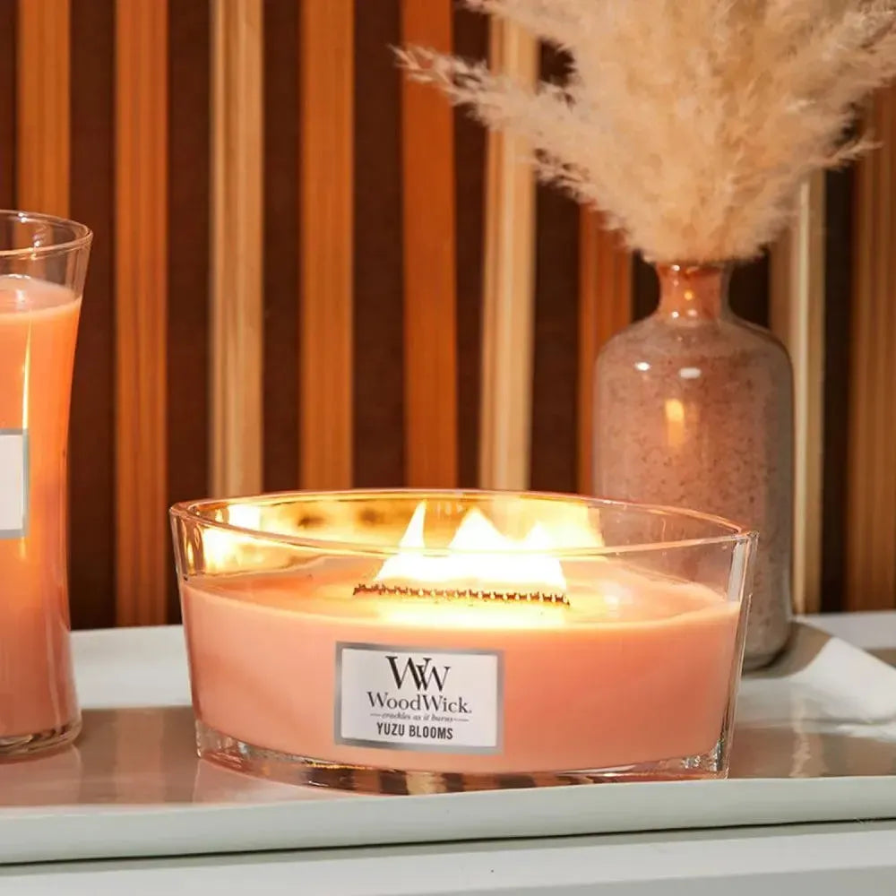 Ellipse Yuzu Blooms 453g Candle by Woodwick Candles-Candles2go