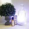 Glass Aroma Diffuser by Be Enlightened Large Luxury