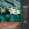 Juniper & Spruce Wax Melts by Woodwick Candle