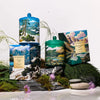 Limited Edition Chalet Chic 380g Candle by Glasshouse Fragrance - Northern Peaks Collection