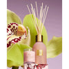 Mother's Day Limited Edition Radiance In Bloom 60g Candle by Glasshouse Fragrances 2026