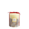 Orange Cinnamon & Clove Botanical 900g Candle by Scented Space & Apsley & Co