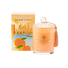 Peach Bellini Candle 330g by Wavertree and London Australia