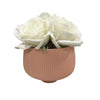 Planter Pot Ceramic in Apricot Australian Native Collection Clearance