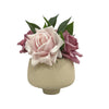 Planter Pot Ceramic in Beige Australian Native Collection Clearance