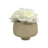 Planter Pot Ceramic in Beige Australian Native Collection Clearance