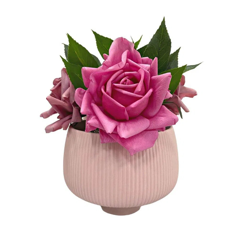 Planter Pot Ceramic in Pink Australian Native Collection By Bramble Bay Co-Candles2go