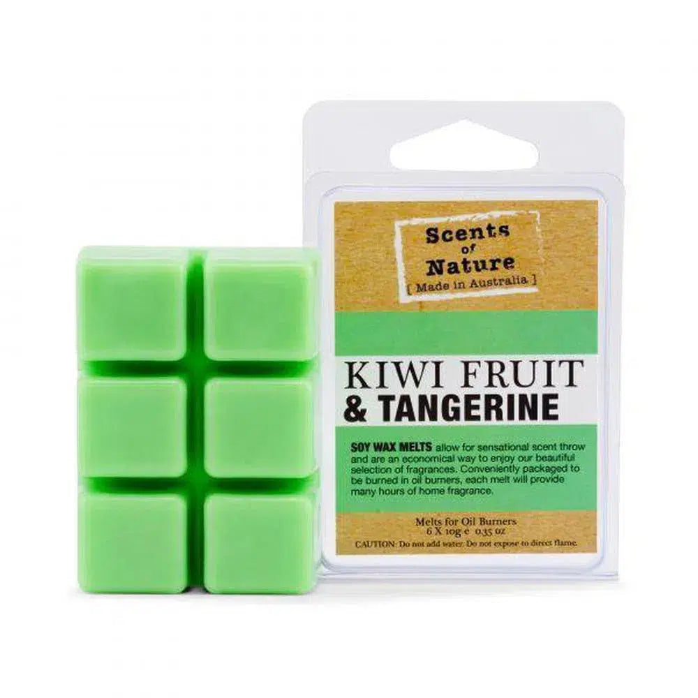 Soy Melts 60g by TIlley Australia SoN Kiwi and Tangerine-Candles2go