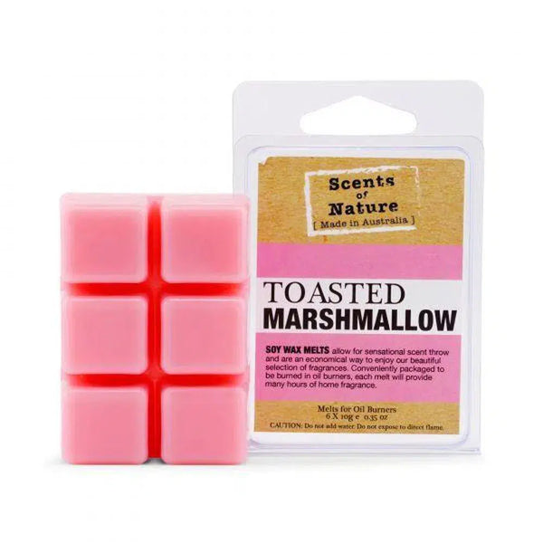 Soy Melts 60g by TIlley Australia SoN Toasted Marshmallow-Candles2go