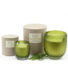 The Apiary Verdant Aurora Green 350g Luxury Candle by Apsley & Co