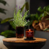 WoodWick Renew Lavender & Cypress