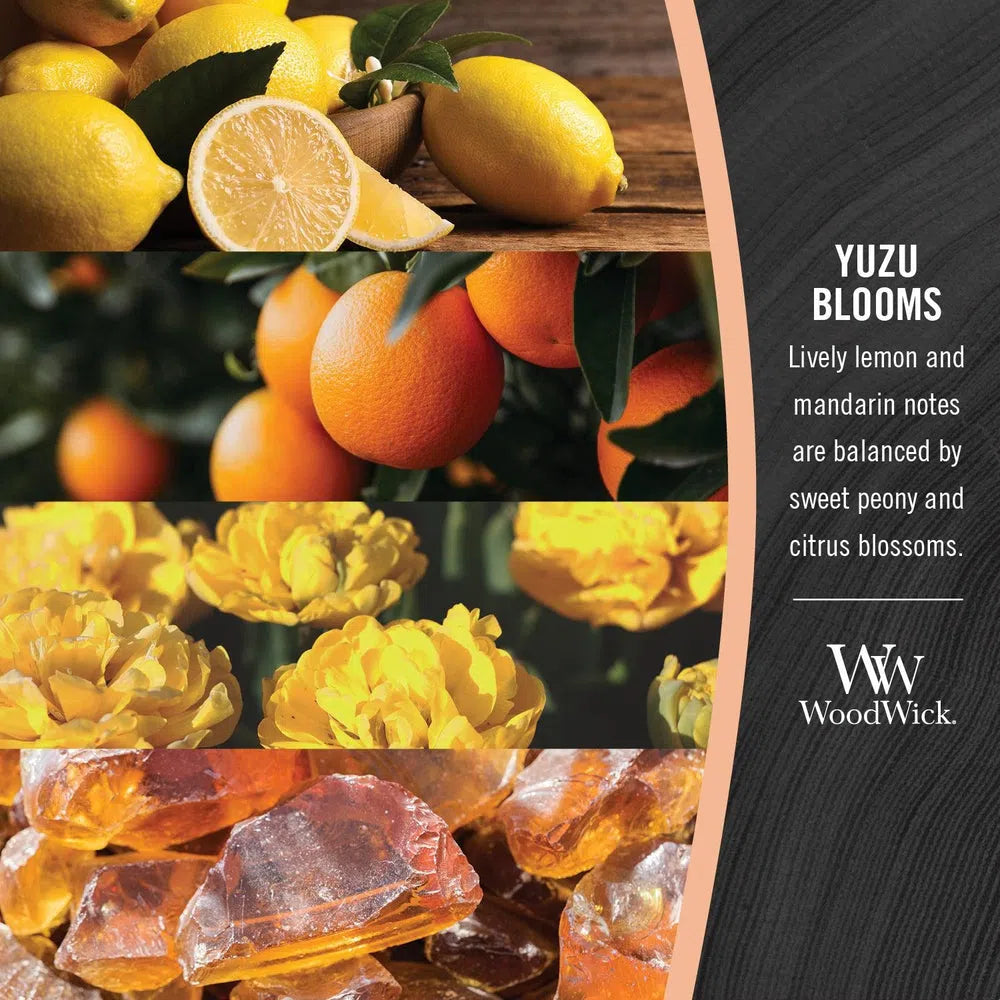 Yuzu Blooms Wax Melts by Woodwick Candle-Candles2go